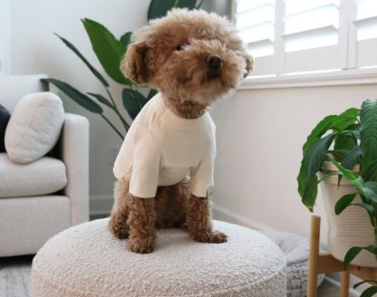 Dog Soft Cotton Crew Neck T-Shirt - Image 3