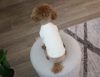 Dog Soft Cotton Crew Neck T-Shirt - Image 2