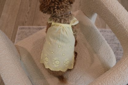 Cute little lady lace skirt - Image 4