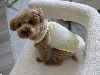 Cute little lady lace skirt - Image 2