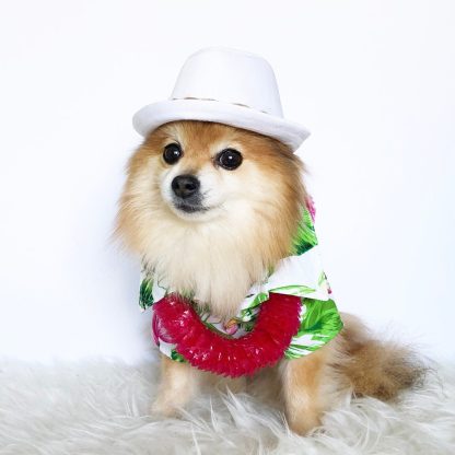 Pet Hawaiian Floral Shirt - Image 5
