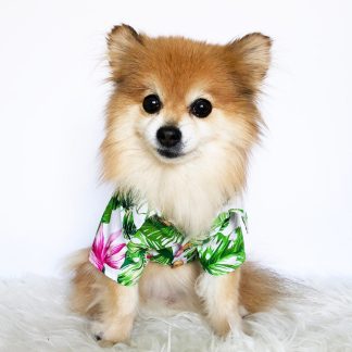 Pet Hawaiian Floral Shirt