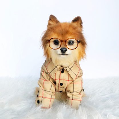 Pet Fashion Plaid Windbreaker
