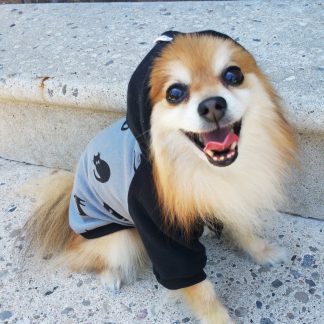 Cat Print Pet Hoodie