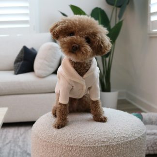 Pet Light Pink Shawl Collar Cardigan
