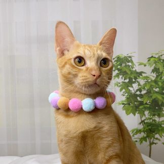 Pom Pom Adjustable Pet Collar