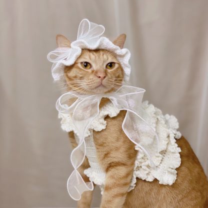 Cat Lady Bow Costume