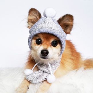 Pet knitted hat and scarf set