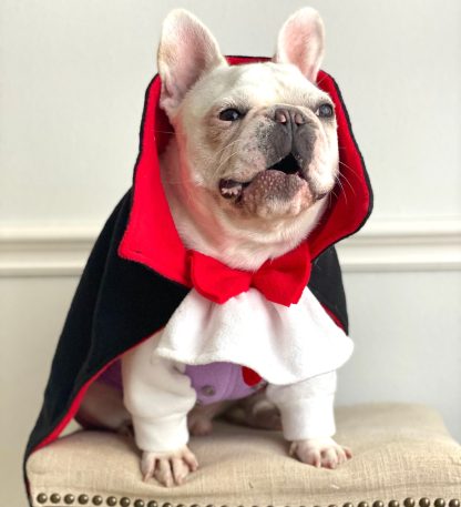 Halloween Vampire Pet Costume - Image 3