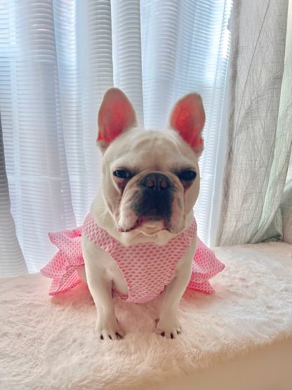 Pet dog cat little pink dress - Image 6