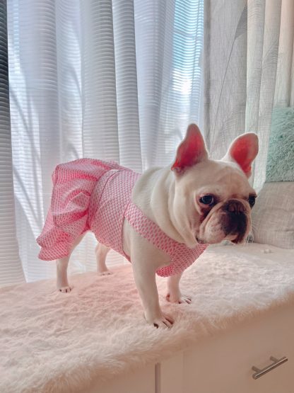 Pet dog cat little pink dress - Image 5