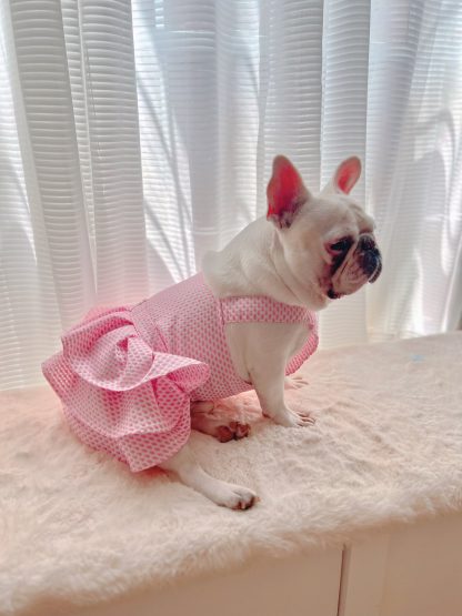 Pet dog cat little pink dress