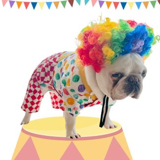 Clown Puppy Pet Costume