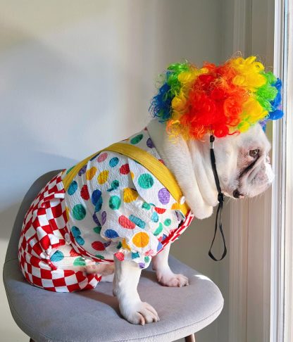 Clown Puppy Pet Costume - Image 2