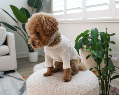 Cotton home wear T-shirt - Image 6