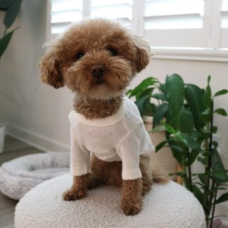Cotton home wear T-shirt