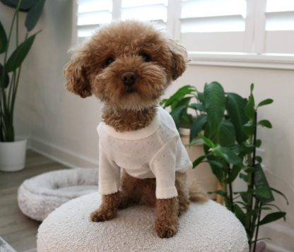 Cotton home wear T-shirt