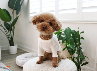 Cotton home wear T-shirt - Image 3