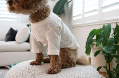 Cotton home wear T-shirt - Image 2