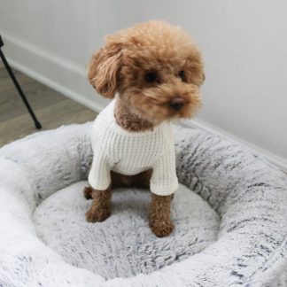 Cute Dog Sweater