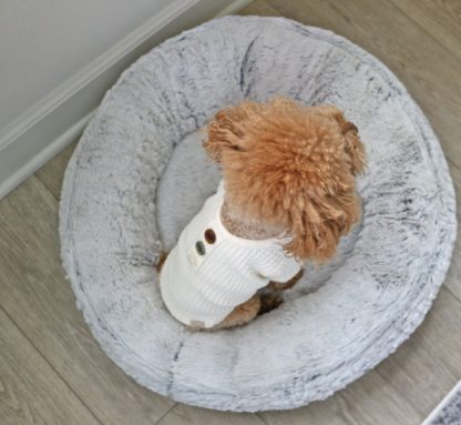 Cute Dog Sweater - Image 3