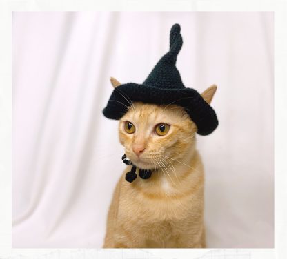 Cat witch hat - Image 6