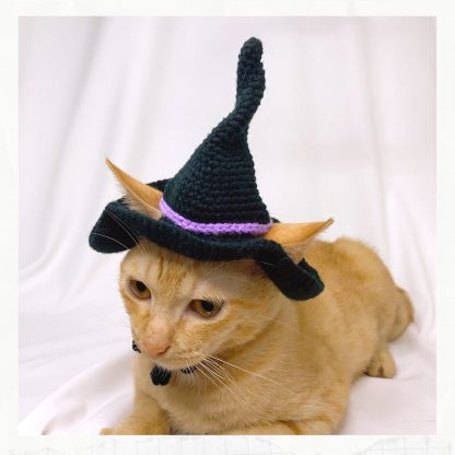 Cat witch hat - Image 5