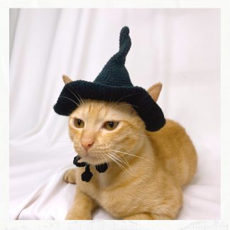 Cat witch hat