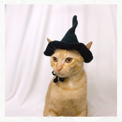 Cat witch hat - Image 2