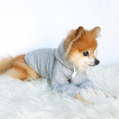 Cute pet hoodie - Image 3