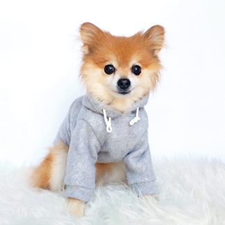 Cute pet hoodie