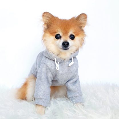 Cute pet hoodie