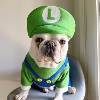 Pet cute onesies