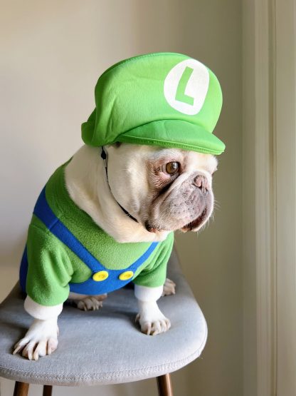 Pet cute onesies - Image 4