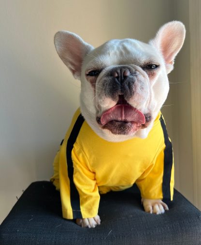 Pet Bruce Lee Yellow Jumpsuit - Image 5