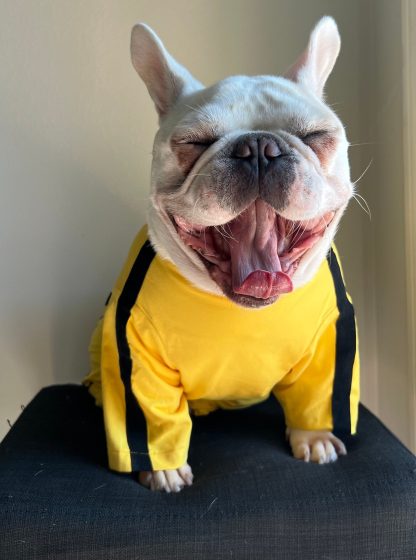 Pet Bruce Lee Yellow Jumpsuit - Image 4