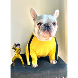 Pet Bruce Lee Yellow Jumpsuit