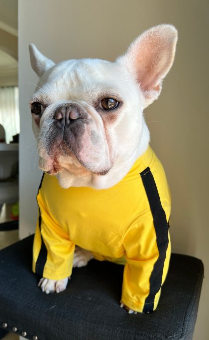 Pet Bruce Lee Yellow Jumpsuit - Image 2