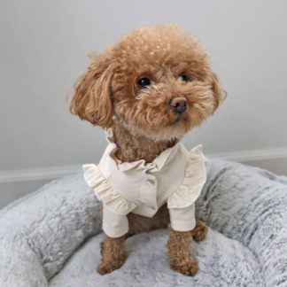 Pet ruffled coat