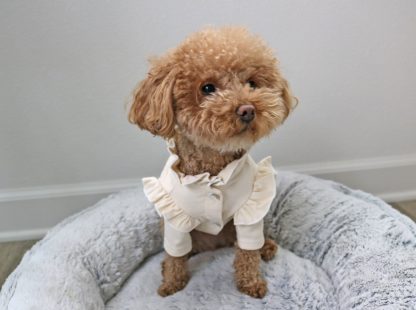 Pet ruffled coat