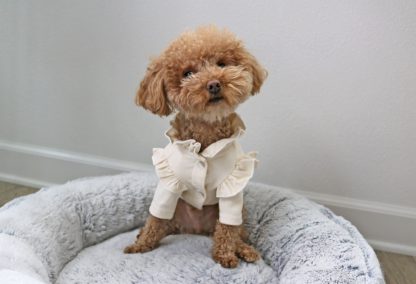 Pet ruffled coat - Image 3