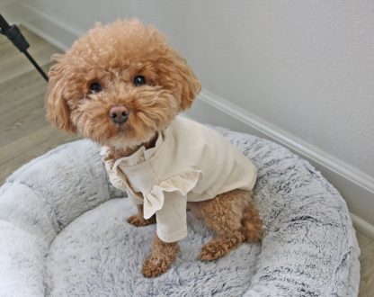 Pet ruffled coat - Image 2