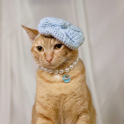 French beret pussy hat