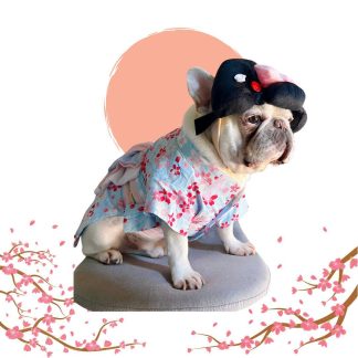 Kimono Pet Costume