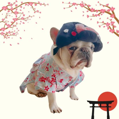 Kimono Pet Costume - Image 2