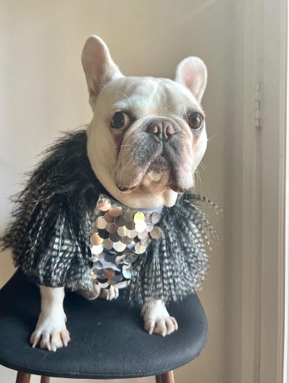 Silver Sequin Pet Top - Image 5