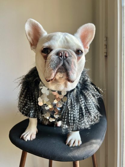 Silver Sequin Pet Top