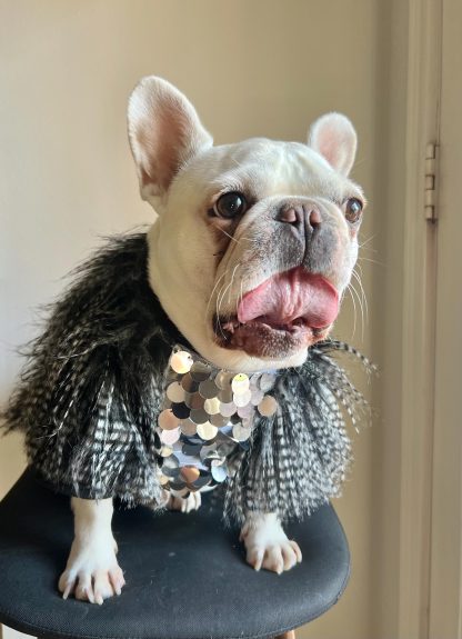 Silver Sequin Pet Top - Image 2