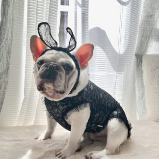 Playboy Bunny Pet Costume