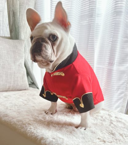 Pet Nutcracker Soldier Costume - Image 4